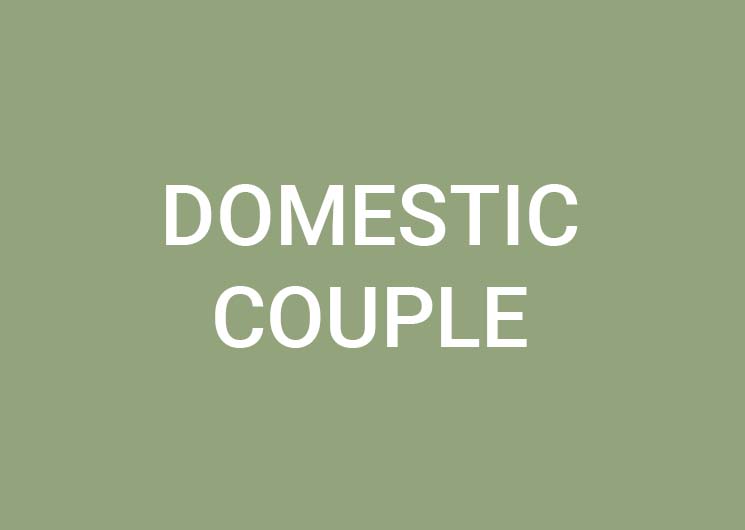 Domestic Couple (m/f/d) 100%
